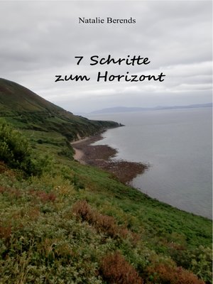 cover image of 7 Schritte zum Horizont
